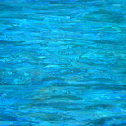 Wasser Elke Schmölzer 2007